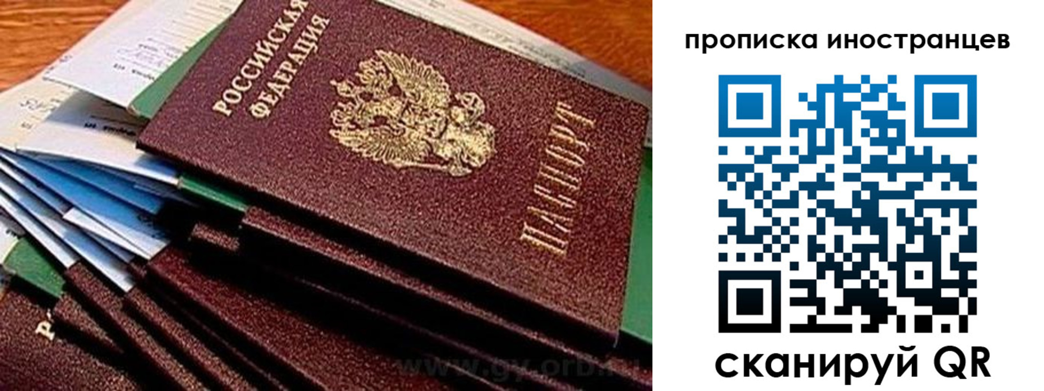 временная регистрация в Ногинске